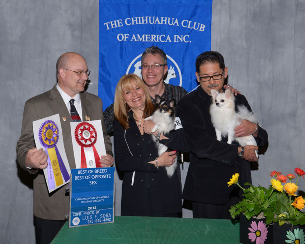 2013 CCA Spring Rotating Specialty