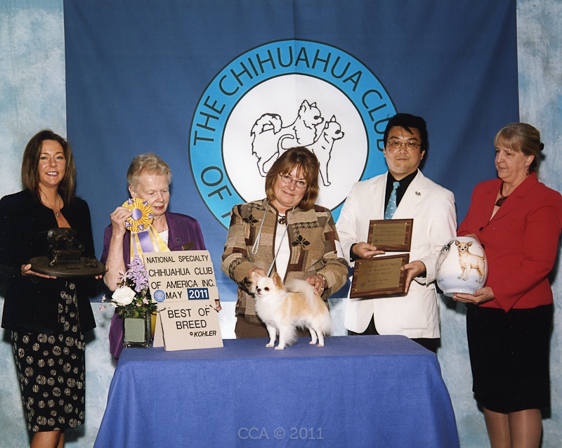 2011 CCA Spring Rotating Specialty