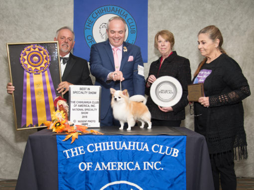 2018 CCA Fall Regional/National Specialty